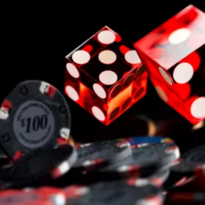 벨라벳 라이브카지노: 실시간으로 즐기는 안전한 온라인 카지노 가이드