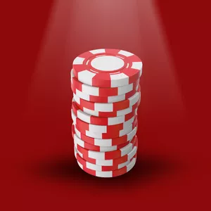 너구리벳 회원가입 가이드와 단계별 방법부터 다양한 혜택까지 알아보는 종합 안내